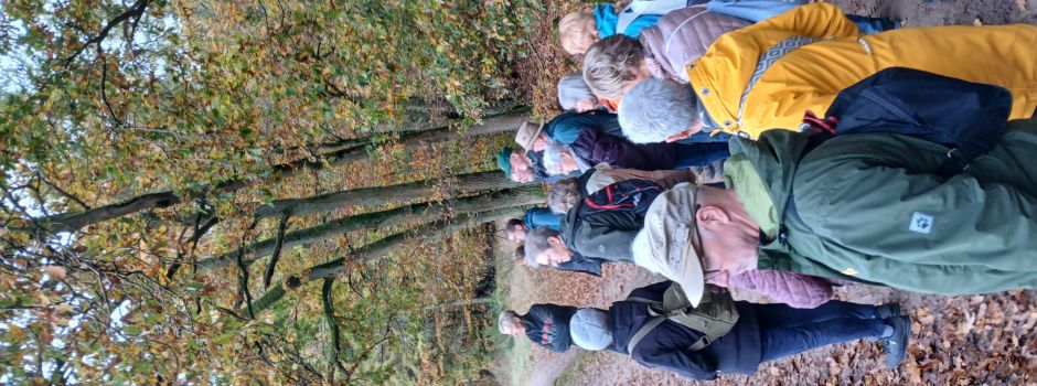 Geführte Wanderung im Forstamt Gädebehn