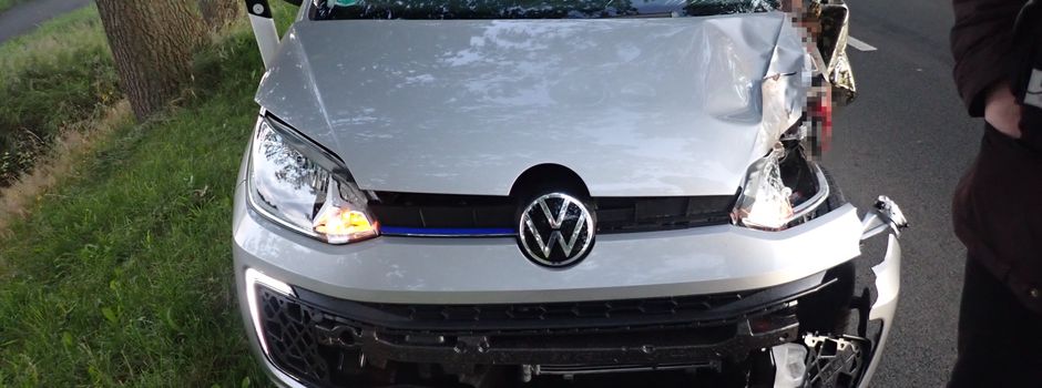 Entlaufene Pferde verenden nach Verkehrsunfall auf der B 440
