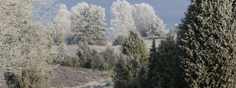 Traditionelle Neujahrswanderung