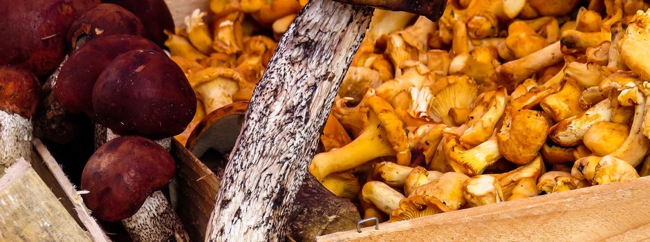 Männer Aktiv gehen „in die Pilze“