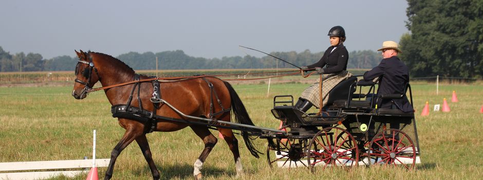 Schnupperkurs Kutsche-Fahren für alle interessierten