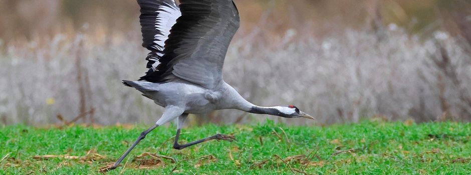 Hinweis an die Bürgerinnen und Bürger