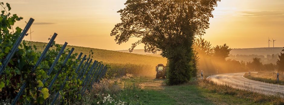 Vinossage zum Muttertag am 12. Mai in Nierstein