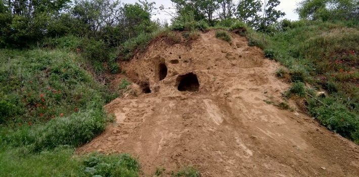 Sachbeschädigung durch Grabungen an einer Lösswand in Guntersblum