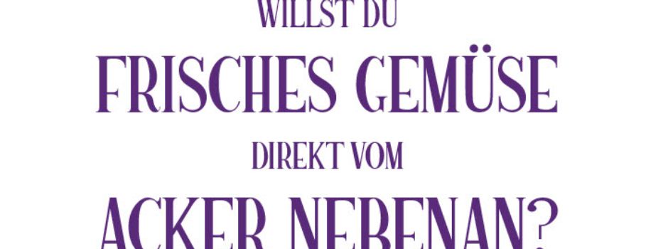 Frisches Gemüse direkt vom Acker nebenan
