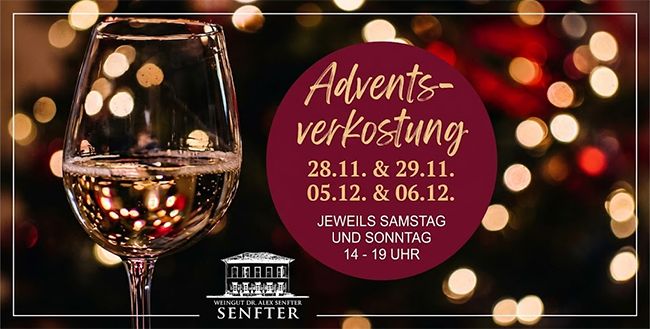 Adventsverkostung im Weingut Dr. Alex Senfter