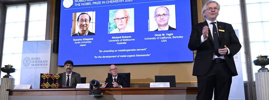 Apartments für Moleküle: Nobelpreis für drei Chemiker