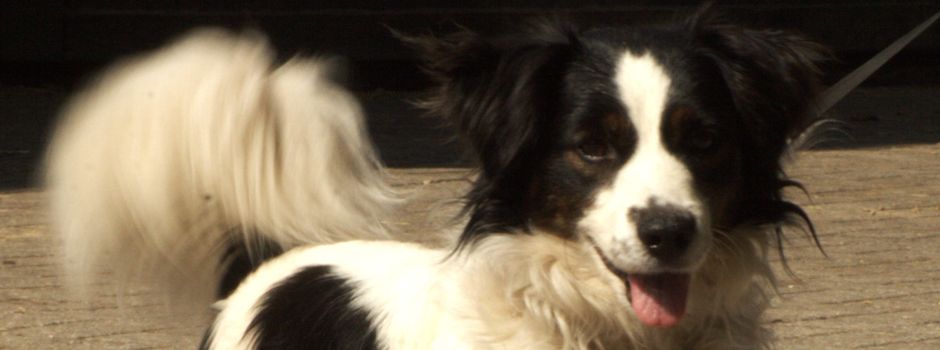 „Wir helfen ja gern, aber nur, wenn wir es auch können“