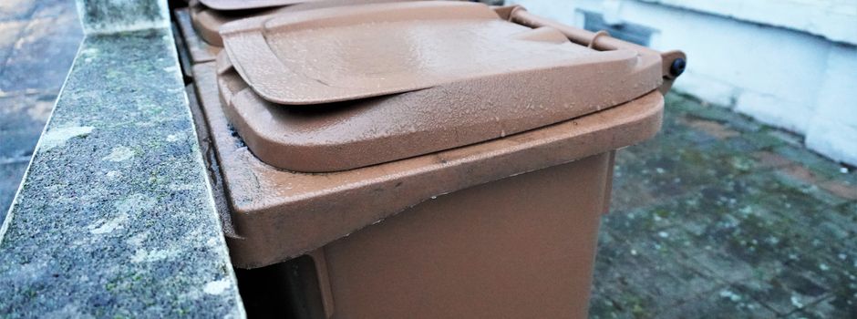 Biotonne wird ab November wieder alle zwei Wochen geleert