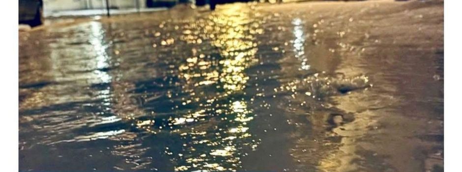 Abholung "Gelbe Tonne"