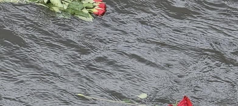 „Rosen für die Oder“