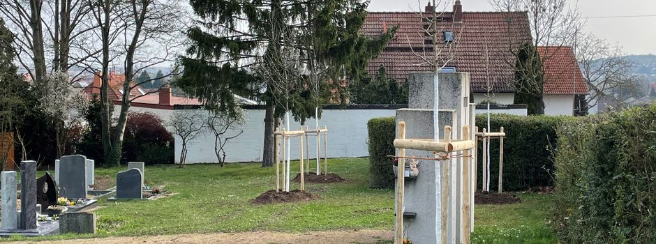 Baumpflanzungen auf dem Friedhof in Schwabsburg