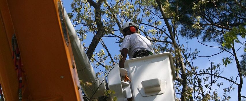 Baumarbeiten am Jugendplatz,Parkplatzsperrung am 7.11.