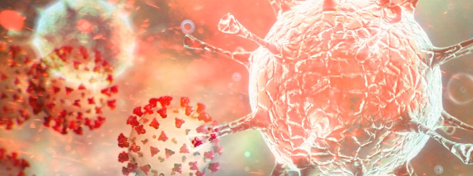 Inzidenz in Mainz zum ersten Mal seit Monaten wieder bei unter 10