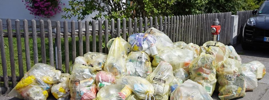 Falscher Müll in Biotonne: Das droht Mainzern im schlimmsten Fall
