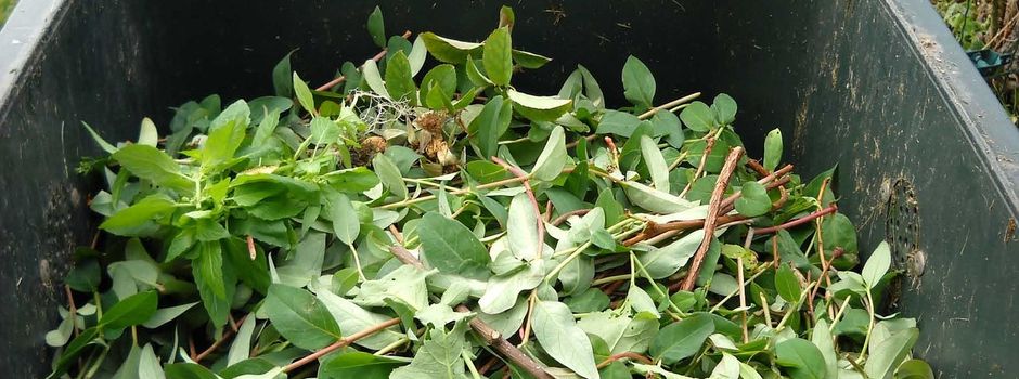 Keine Plastiktüten in die Biotonne