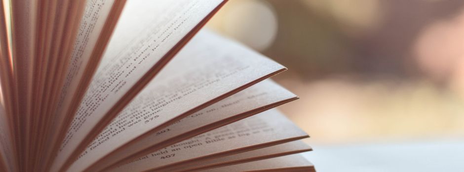 Bücherschrank in Luckenbach