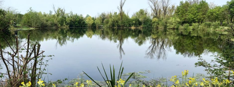 Versteckte Orte in Mainz: Anglerteiche im Laubenheimer Ried