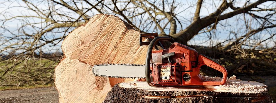 Baumfällarbeiten - L 3085 zwischen Altenlotheim und Frankenau