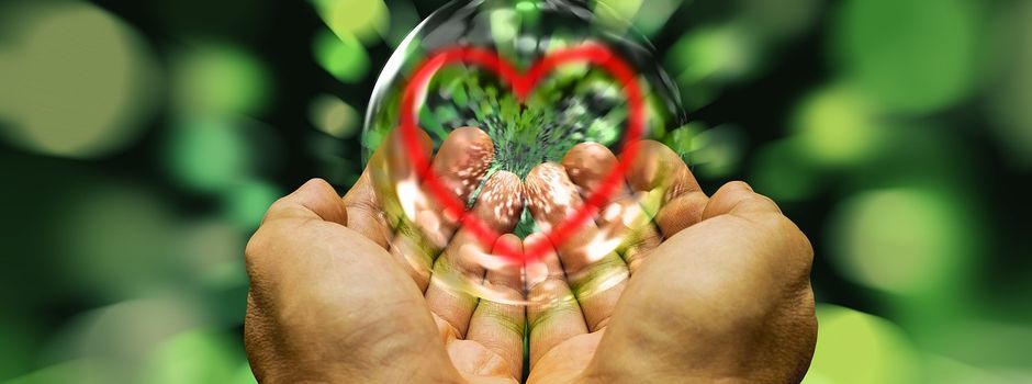 Workshop: Umgang mit Trauma & Traumafolgen