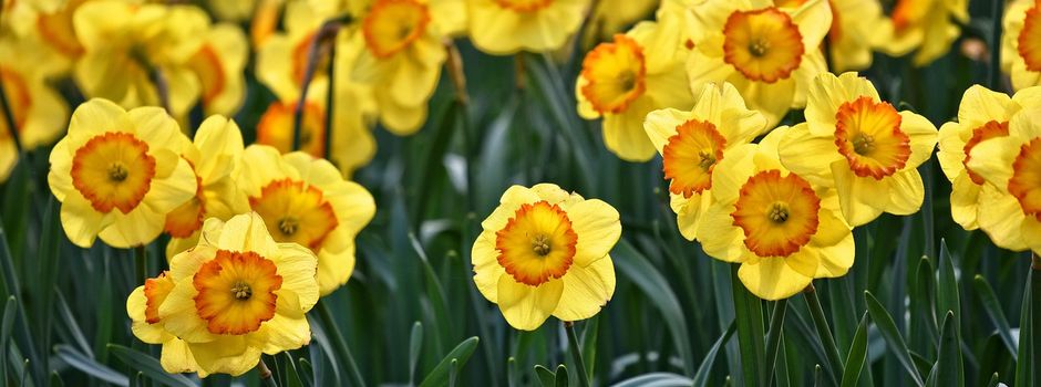 Ehrenamtliche Projekte zur Verschönerung des Dorfes