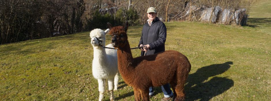 Westwood Alpacas Horgau