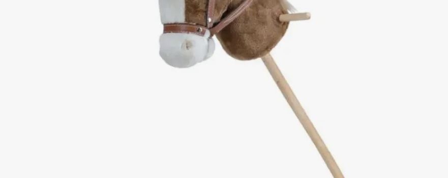 Hobbyhorsing in Tangendorf: Neuer Kurs für Kinder