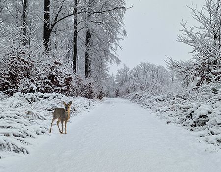 Drittes Treffen der NAJU-Gruppe Waldems