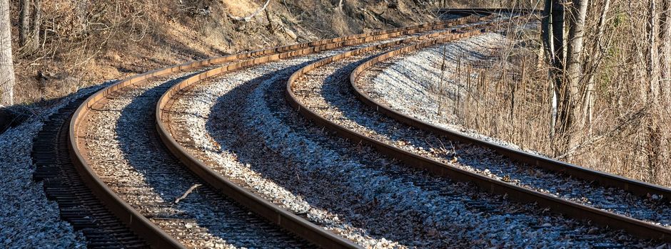 Mitte Januar Zugausfälle zwischen Mainz und Bodenheim