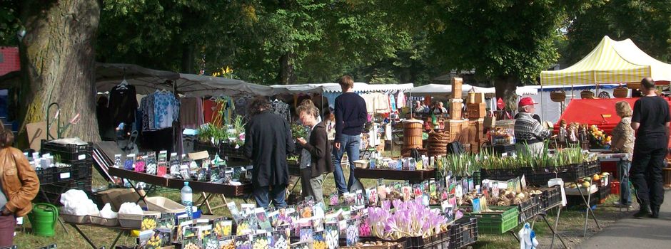 Niedernhausener Bürgerbus: Sonderfahrten zum Alteburger Markt