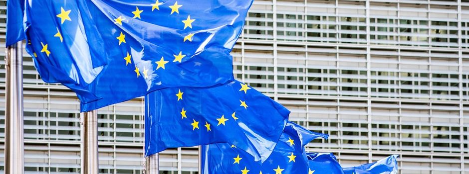 Europawahl 2024: Rechte Hoffnungen und ein grünes Dilemma