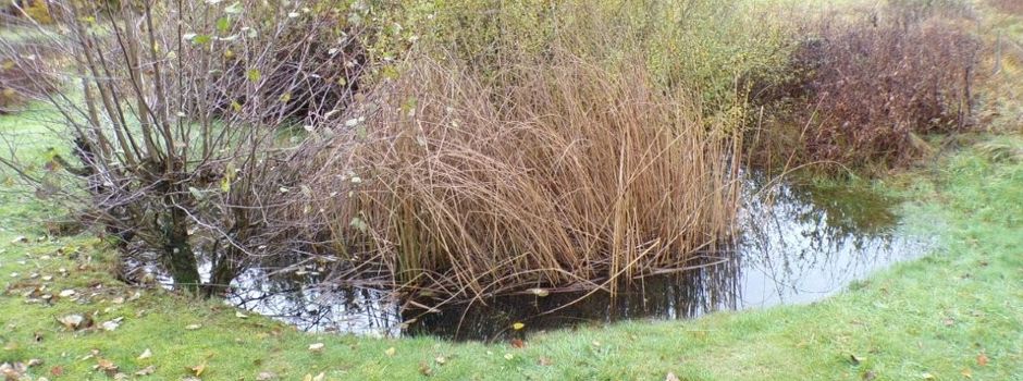 Das Wasser ist zurück!
