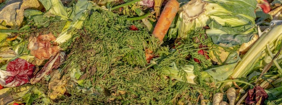 Verbrennen pflanzlicher Abfälle