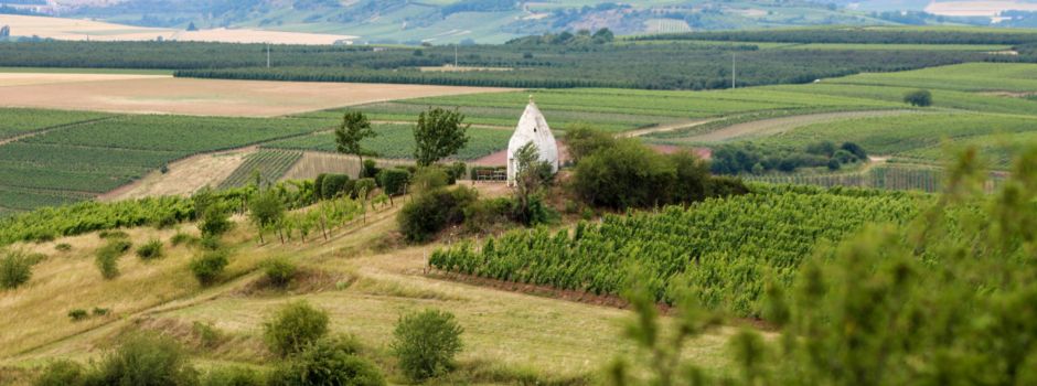 Diese 10 Dinge sind typisch rheinhessisch