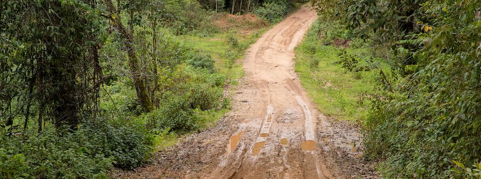 Kreisverwaltung warnt: Bäume könnten wegen hoher Wasserstände umstürzen
