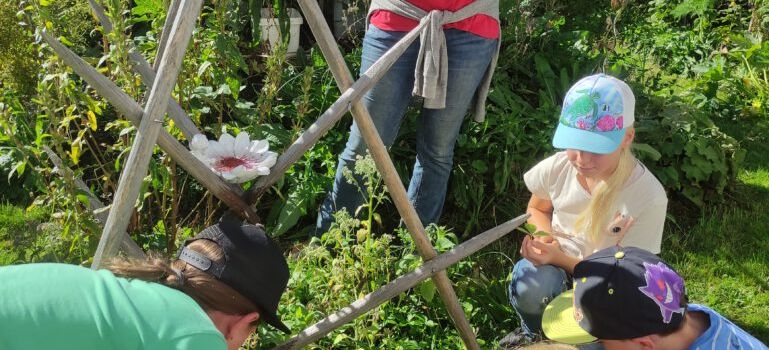 Ein Jahr voller Entdeckungen – die Schnittlauchräuber schauen zurück auf viele Aktionen und Erlebnisse