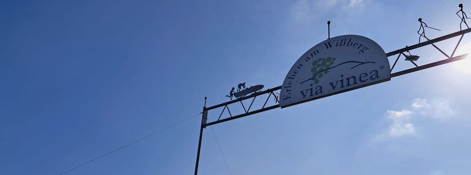 Diese Ausflugsziele bei Mainz müsst ihr kennen