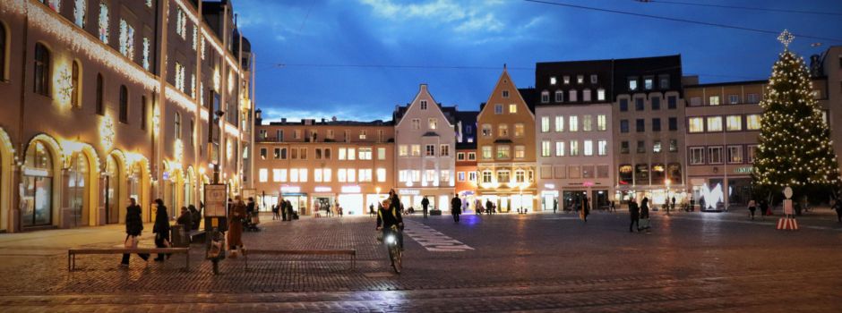 Gemeinsam gegen den Klimawandel: Mehr Grün auf privaten Grundstücken in Augsburg