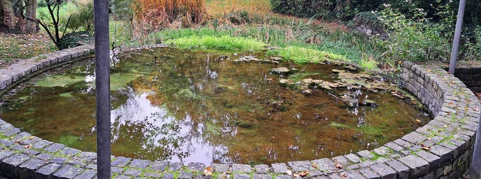 Hier finden sich die Quellen von Mainz