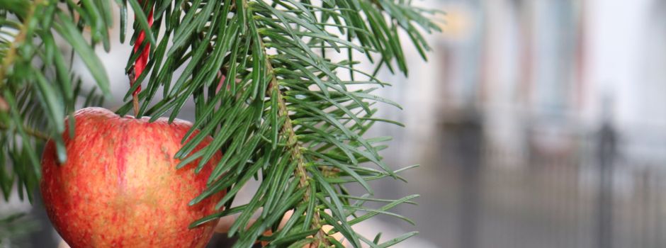 Wunderschöne Restaurants und Cafés in der Ausburger Altstadt