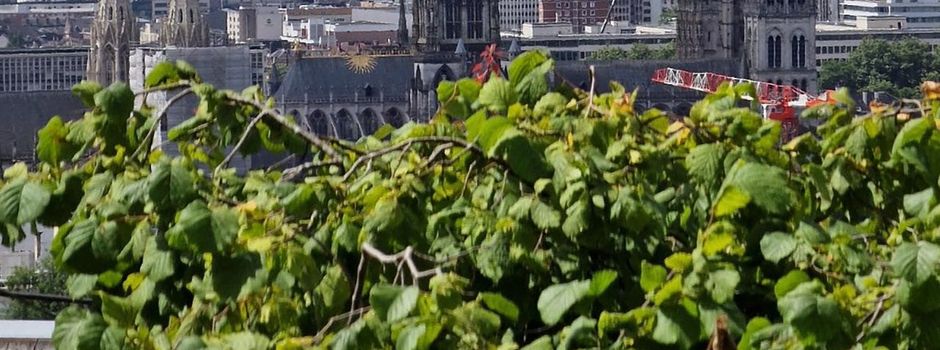 Brand im Turm der Kathedrale von Rouen