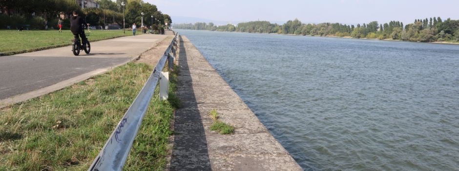 Neue Pläne für Mainzer Rheinufer: Parkplätze könnten wegfallen