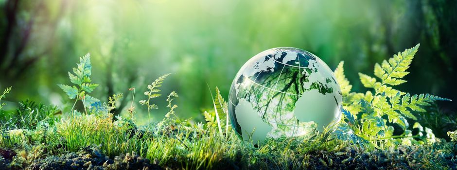 Workshop: „Wie Nachhaltigkeit in der Industrie aussehen kann“
