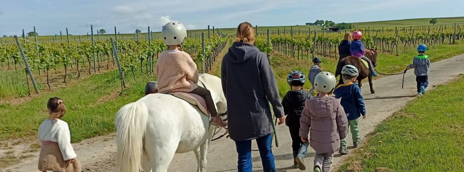 Kleine Forscher der Komm. Kita „Die kleinen Strolche“ Billigheim zu Besuch auf dem Bauernhof