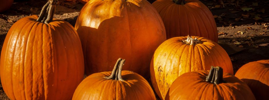 Erntedank mit Treckern am 4. Oktober um 9:30 Uhr