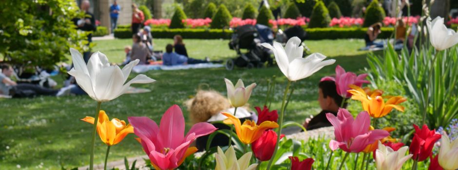 Romantik pur: 5 Orte für das perfekte Date im Sommer