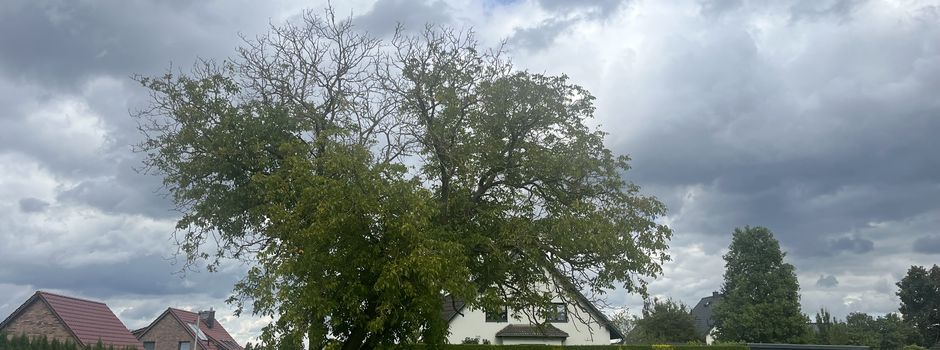 Ausbau unserer Spiel- und Erholungsbereiche