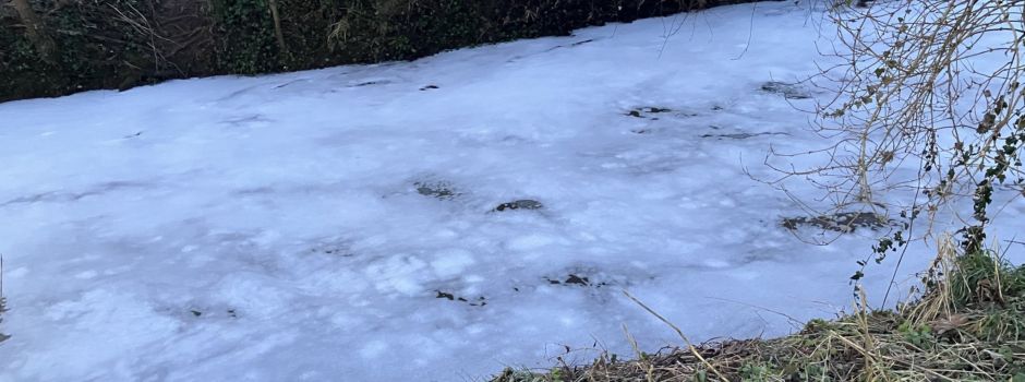 Rätsel um Schaumfluss in Worms gelöst