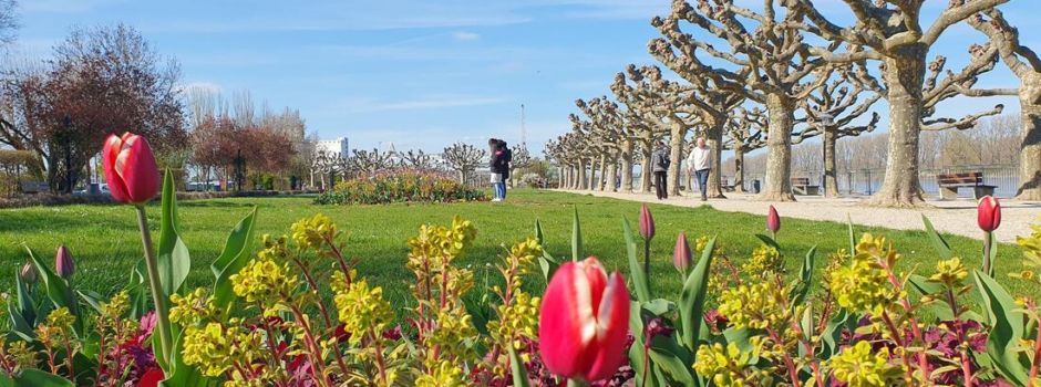 April in Worms: Auf diese Events könnt ihr euch besonders freuen