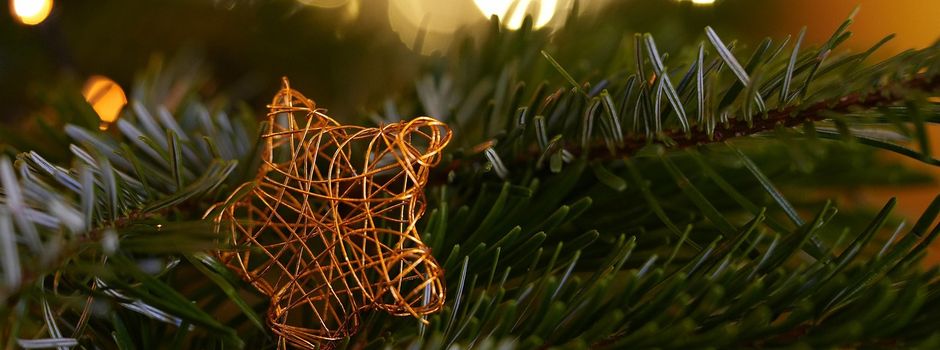 Deister-Adventskalender 2025